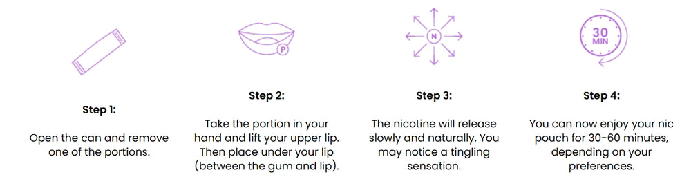 PureNic Pouches
