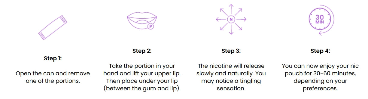 PureNic Pouches