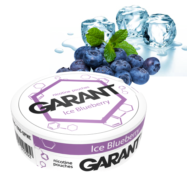 GARANT ICE BLUBERRY LIGHT